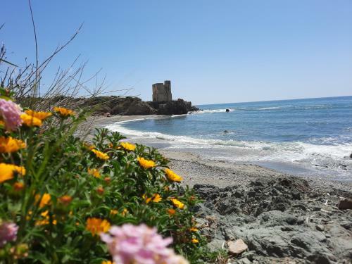 Apartamento Caballito De Mar