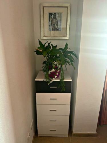 Two Bedroom Duplex Apartment