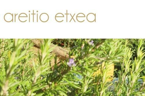 Areitio Etxea - Casa Con Jardin