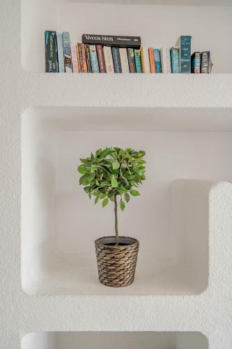 Apartamento 2 Bed Close To Puerto Banus