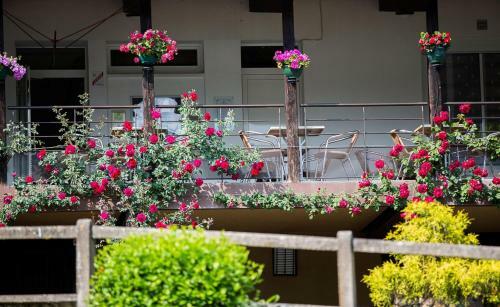 Hotel H�tel Belle Vue
