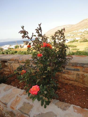 Apartamento Galanou View