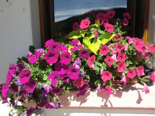 Hotel H�tel La Vall�e