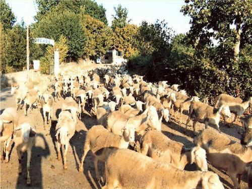 Agroturismo Chambres � La Ferme