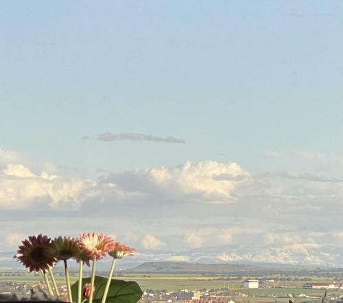 Bed And Breakfast En Salamanca Spain