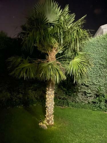 Bed And Breakfast En Salamanca Spain