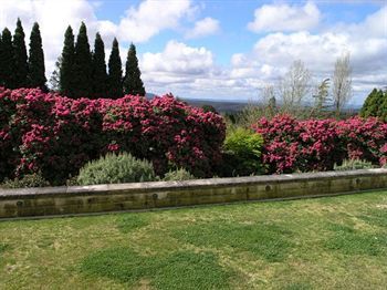 Motel Silvermere Guesthouse