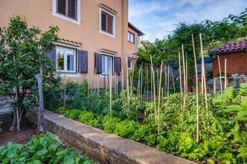 Apartments Beba