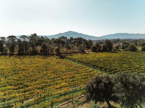 Bed & Breakfast Quinta Do Convento De Val� Pereiras