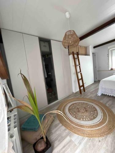 Apartamento Casa Reformada En Casco Antiguo