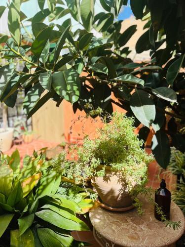 Apartamento Incre�ble Loft A 5min De La Playa