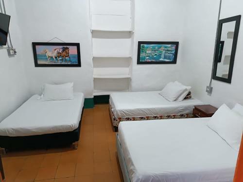 Hostal Jard�n-house