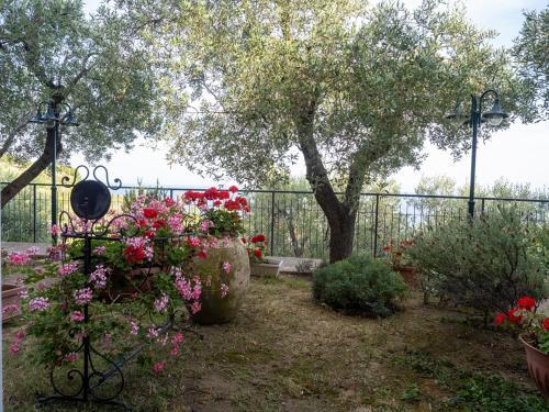 Bed & Breakfast Tra Gli Ulivi