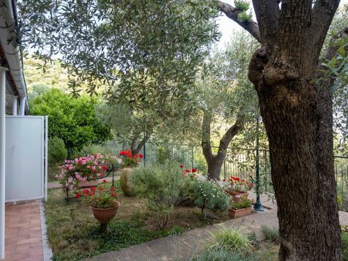 Bed & Breakfast Tra Gli Ulivi