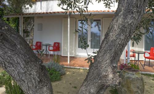 Bed & Breakfast Tra Gli Ulivi
