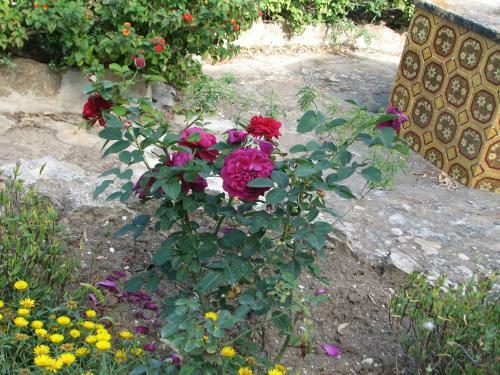 Apartamento Residence Casale Verderame