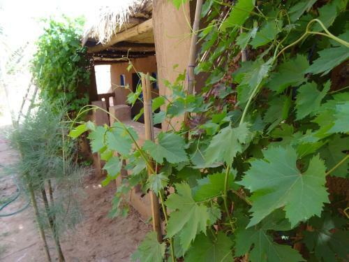 Hostal Auberge Tigida