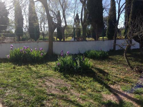 Agroturismo Calixto