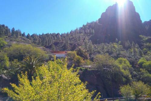 La Bohemia (tejeda)