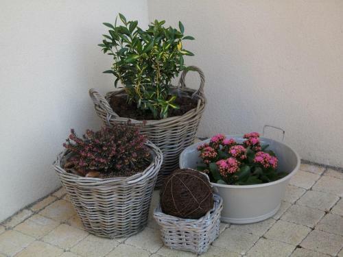 Bed & Breakfast Ferme De La Canardi�re