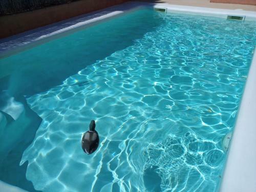 Alrededores Barcelona,casa Con Encanto Bed & Breakfast