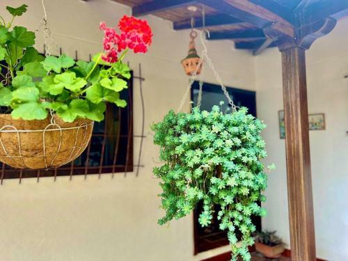 Hermosa Casa De Campo Los Montes En Zapatoca