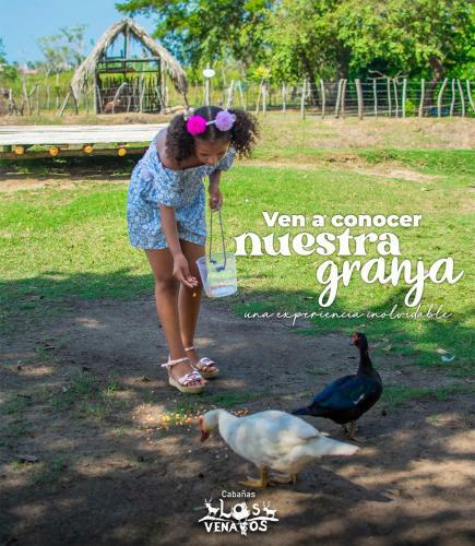 Apartamento Caba�as Los Venaos