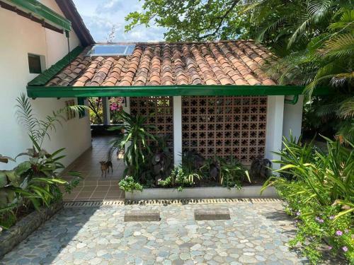 Wonder House In San Jeronimo