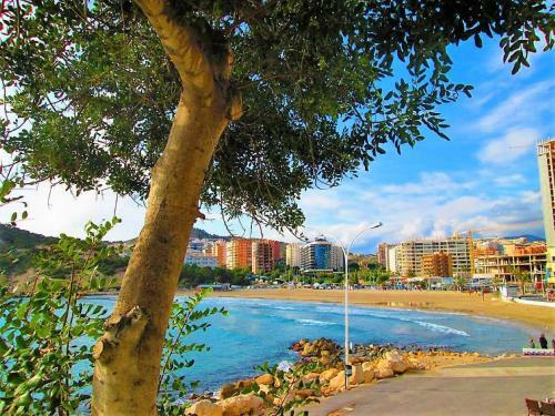 Apartamento A754 - Vila Park - 2004 Finestrat