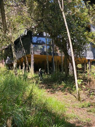 Eco Aldea Caba�a Entre Helechos