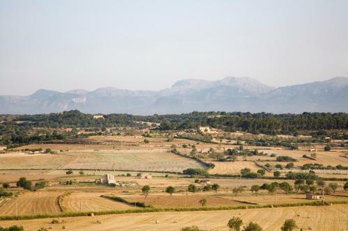 Agroturismo Sa Rota D'en Palerm
