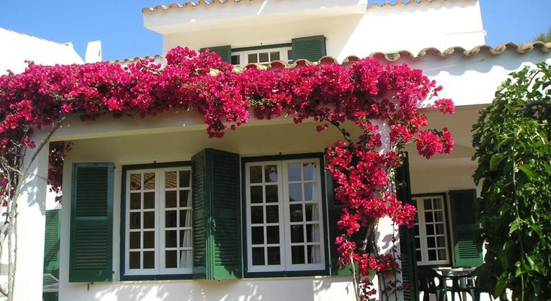 Apartamentos Playa Park