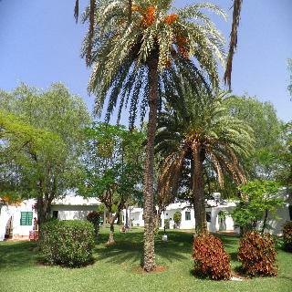 Apartamentos Canary Garden Club