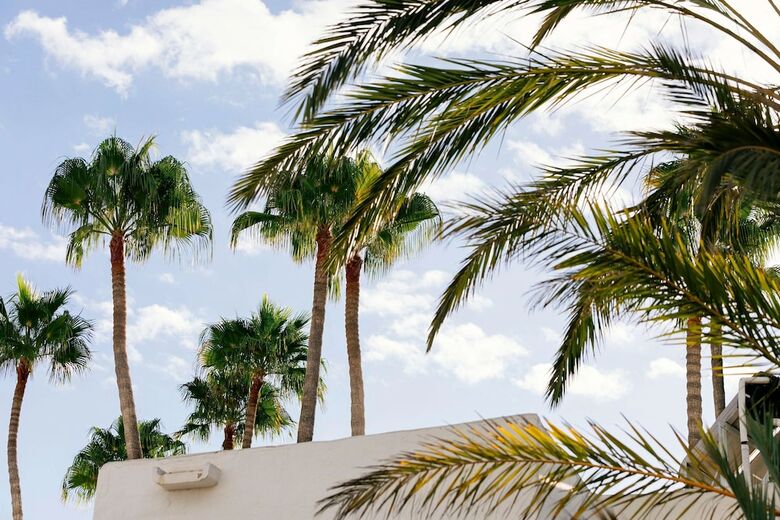 Hotel Hd Parque Cristobal Tenerife
