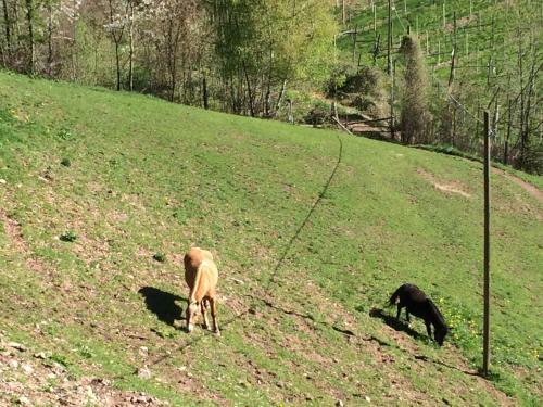 Agroturismo Gruberhof