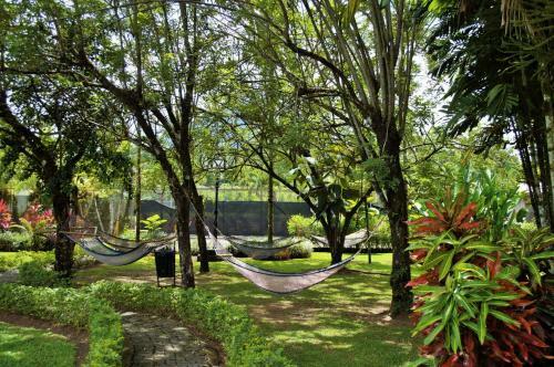 Hostal Arenal Backpackers Resort