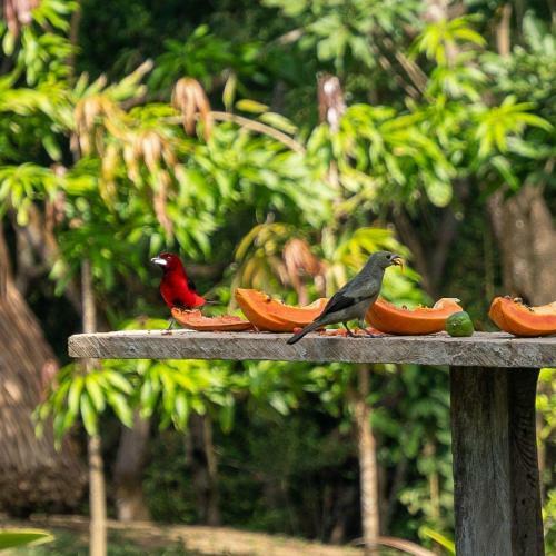 Agroturismo Villa Jaymar