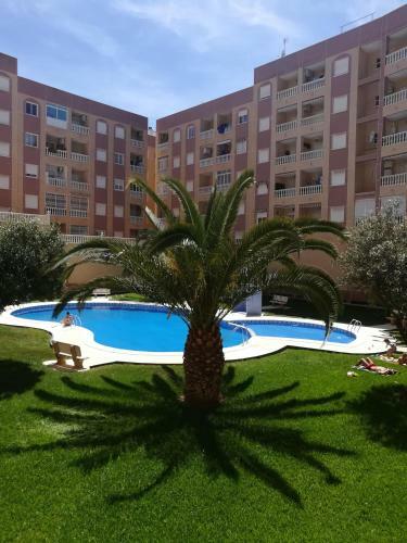 Bonito Apartamento En Torrevieja