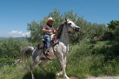 Casa Costa Relais B&B