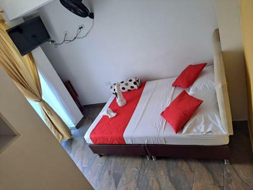 Hotel Oiba Alfa Plaza