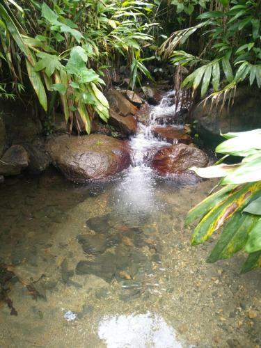 Reserva Natural Zarand�