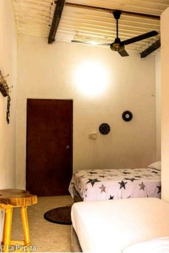 Hostal Le Pepite