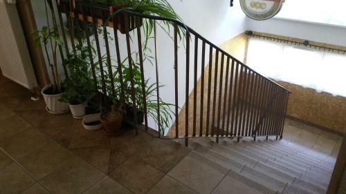 Hostal Dom Sportowca Roko