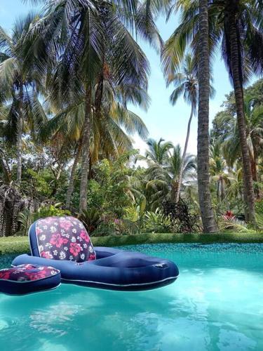 Bed & Breakfast Piupiu Paradisio