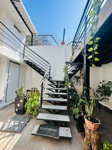 Hostal Mi Casa 18