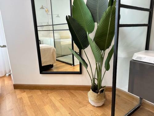 Apartamento Luxe Suite Centro Vigo