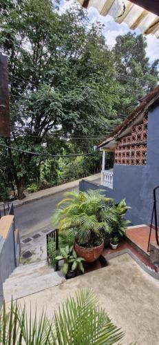 Apartamento Hideaway Calle 14
