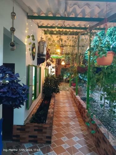 Bed & Breakfast Casa Hotel El Cafetal