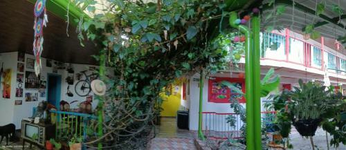 Bed & Breakfast Casa Hotel El Cafetal