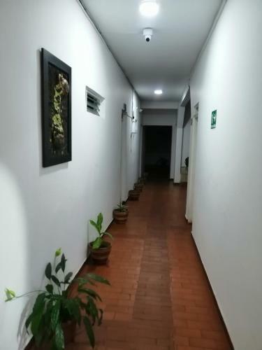 Hotel El Carretero